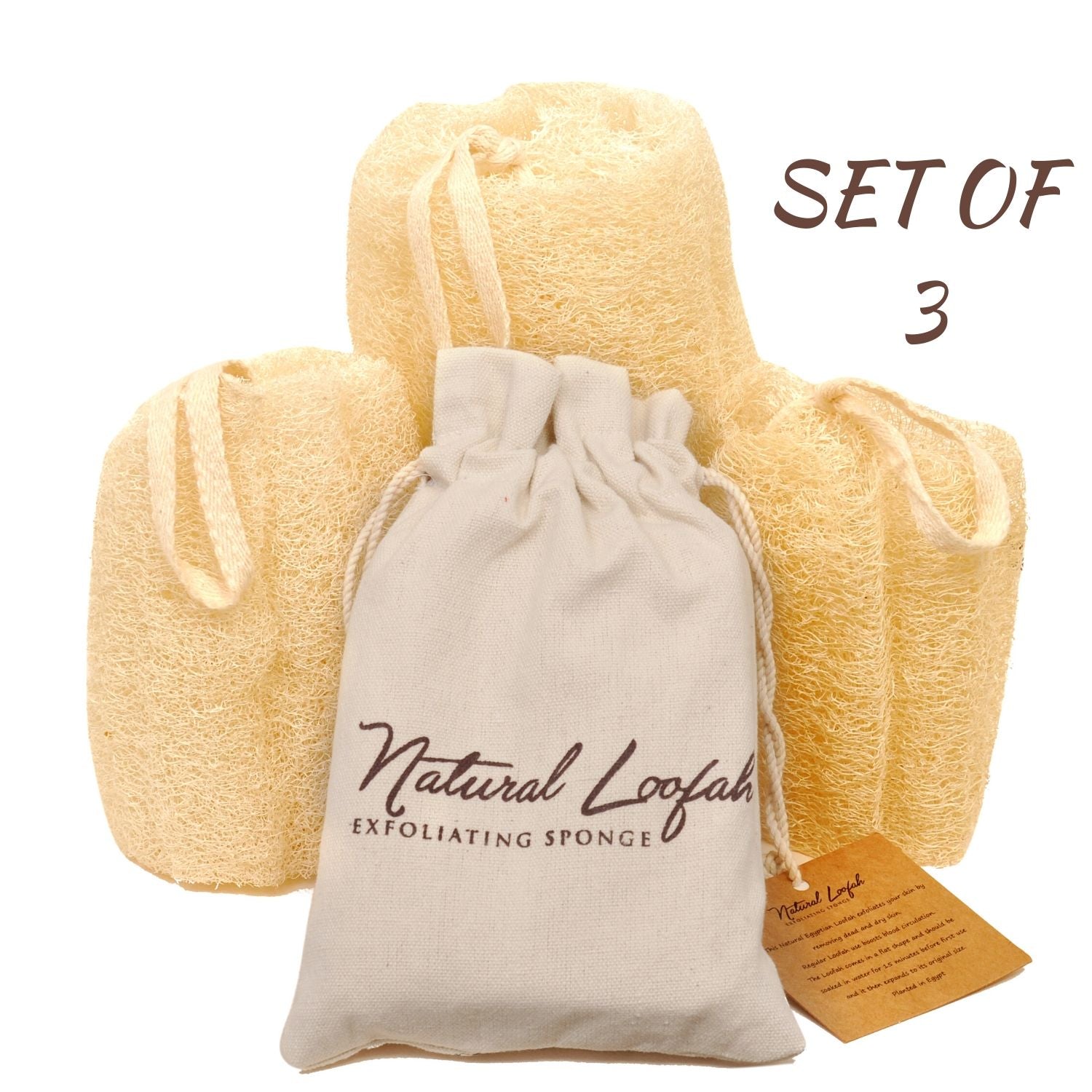 All Natural Loofah Sponge, Set of 3 Real Egyptian Bath & Shower Exfoliating Loofa Scrubber Sponges for Face, Back and Body, Eco Friendly, No Toxic Chemicals, 6" x 6"